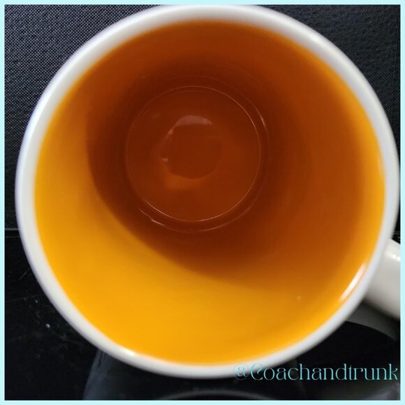 RAE DUNN Cerveza Ceramic Stein 20 Fluid Oz NEW STILL IN BOX Collectable NWT - Picture 4 of 8